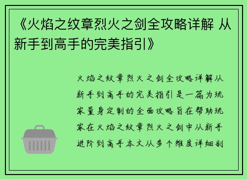 《火焰之纹章烈火之剑全攻略详解 从新手到高手的完美指引》